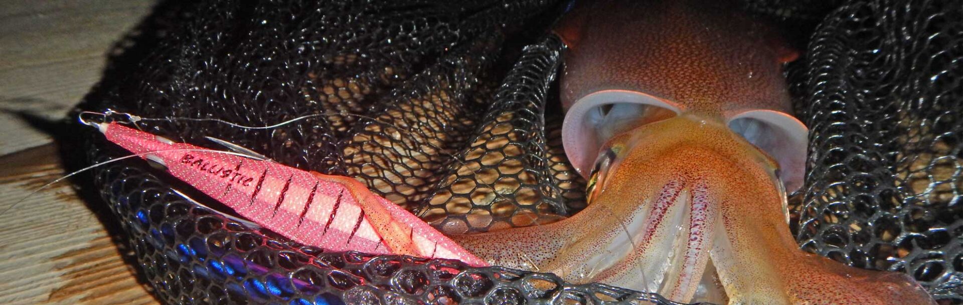 DTD Ballistic Egi 3.5B  10 cm 16 gr Kalamar Zokası